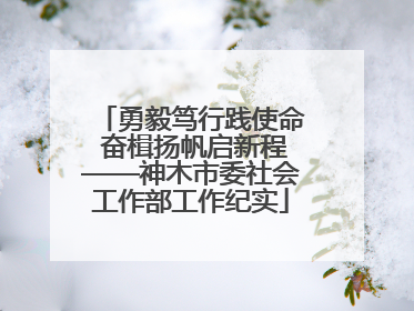 勇毅笃行践使命 奋楫扬帆启新程——神木市委社会工作部工作纪实