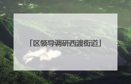 区领导调研西渡街道