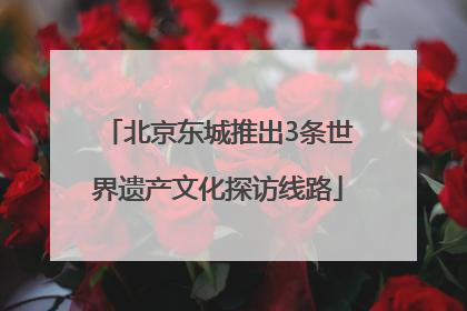 北京东城推出3条世界遗产文化探访线路