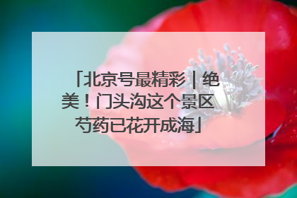 北京号最精彩｜绝美！门头沟这个景区芍药已花开成海