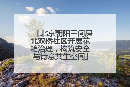 北京朝阳三间房北双桥社区开展花箱治理，构筑安全与诗意共生空间