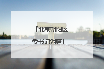 北京朝阳区委书记调整