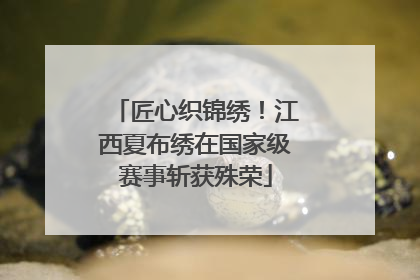 匠心织锦绣！江西夏布绣在国家级赛事斩获殊荣