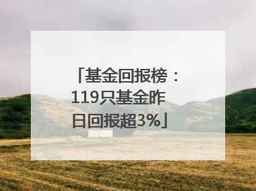 基金回报榜：119只基金昨日回报超3%