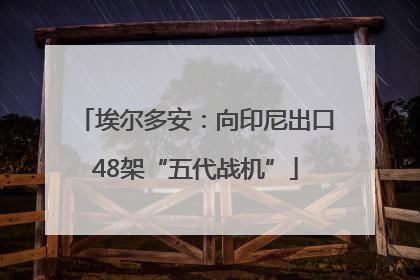 埃尔多安：向印尼出口48架“五代战机”