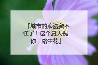 城市的浪漫藏不住了！这个夏天祝你一路生花