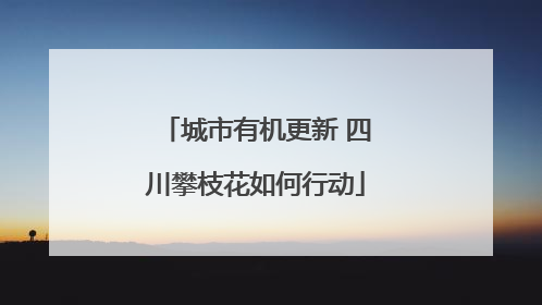 城市有机更新 四川攀枝花如何行动