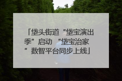 垡头街道“垡宝演出季”启动 “垡宝治家”数智平台同步上线