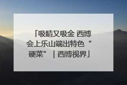吸睛又吸金 西博会上乐山端出特色“硬菜”｜西博视界