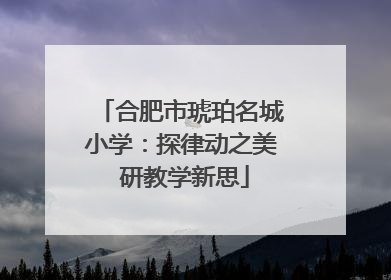 合肥市琥珀名城小学：探律动之美 研教学新思