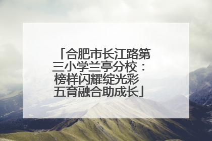 合肥市长江路第三小学兰亭分校：榜样闪耀绽光彩 五育融合助成长