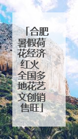 合肥暑假荷花经济红火 全国多地花艺文创销售旺