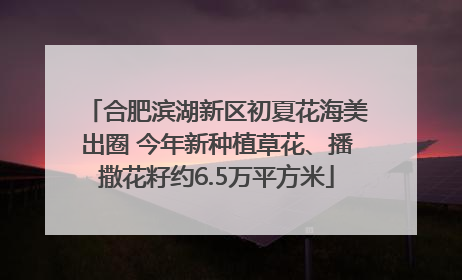 合肥滨湖新区初夏花海美出圈 今年新种植草花、播撒花籽约6.5万平方米