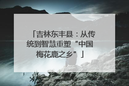 吉林东丰县：从传统到智慧重塑“中国梅花鹿之乡”