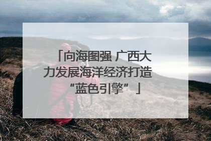 向海图强 广西大力发展海洋经济打造“蓝色引擎”