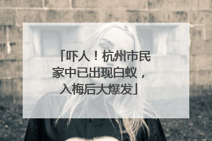 吓人！杭州市民家中已出现白蚁，入梅后大爆发