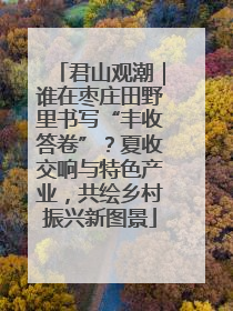 君山观潮｜谁在枣庄田野里书写“丰收答卷”？夏收交响与特色产业，共绘乡村振兴新图景