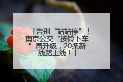 告别“站站停”！南京公交“按铃下车”再升级，20条新线路上线！