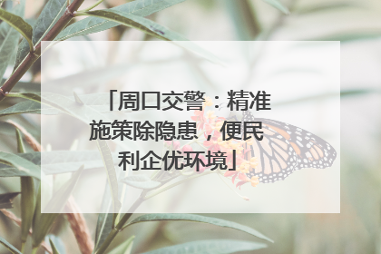 周口交警：精准施策除隐患，便民利企优环境