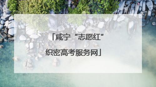 咸宁“志愿红”织密高考服务网
