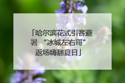 哈尔滨花式引客避暑 “冰城左右哥”返场嗨翻夏日