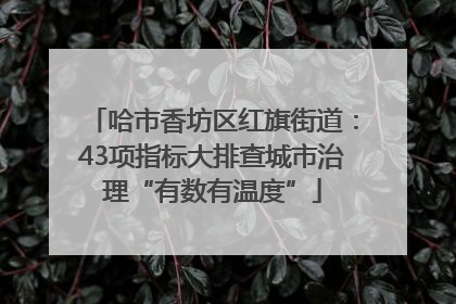 哈市香坊区红旗街道：43项指标大排查城市治理“有数有温度”