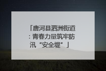 唐河县泗洲街道：青春力量筑牢防汛“安全堤”