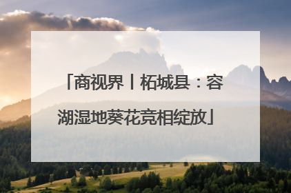 商视界丨柘城县：容湖湿地葵花竞相绽放
