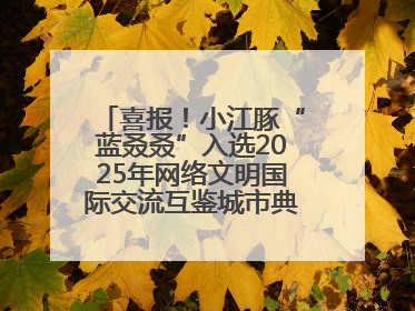 喜报！小江豚“蓝叒叒”入选2025年网络文明国际交流互鉴城市典型案例