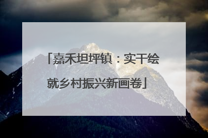 嘉禾坦坪镇：实干绘就乡村振兴新画卷