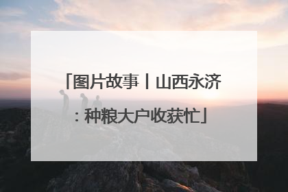 图片故事丨山西永济：种粮大户收获忙