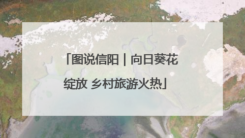 图说信阳｜向日葵花绽放 乡村旅游火热