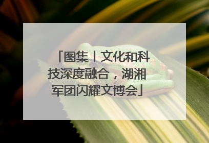 图集丨文化和科技深度融合，湖湘军团闪耀文博会