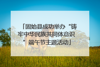 固始县成功举办“铸牢中华民族共同体意识”端午节主题活动