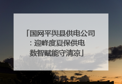 国网平舆县供电公司：迎峰度夏保供电  数智赋能守清凉