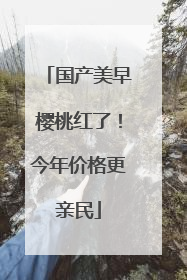 国产美早樱桃红了！今年价格更亲民