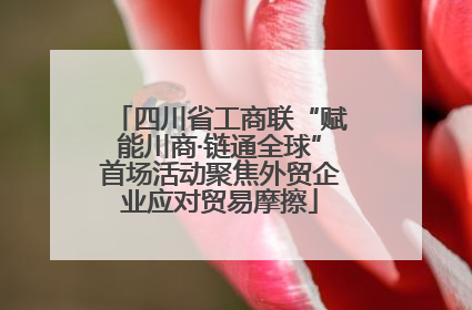 四川省工商联“赋能川商·链通全球”首场活动聚焦外贸企业应对贸易摩擦