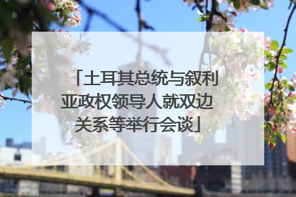土耳其总统与叙利亚政权领导人就双边关系等举行会谈