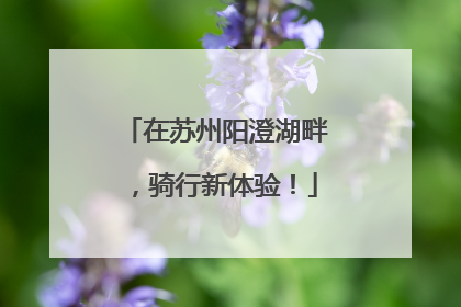 在苏州阳澄湖畔，骑行新体验！