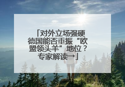 对外立场强硬 德国能否重振“欧盟领头羊”地位？专家解读→