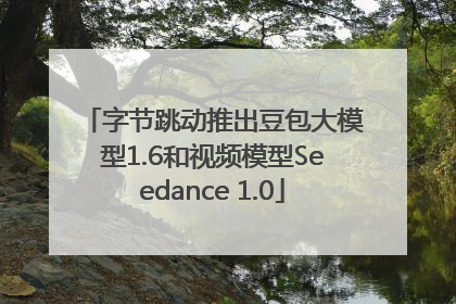 字节跳动推出豆包大模型1.6和视频模型Seedance 1.0