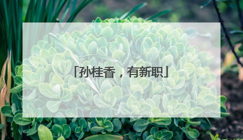 孙桂香，有新职