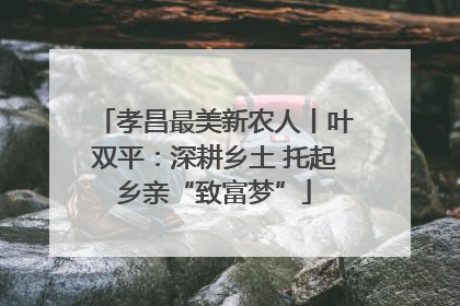孝昌最美新农人丨叶双平：深耕乡土 托起乡亲“致富梦”