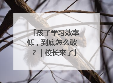 孩子学习效率低，到底怎么破？｜校长来了