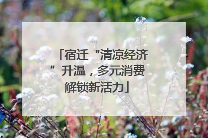 宿迁“清凉经济”升温，多元消费解锁新活力