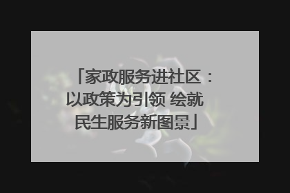 家政服务进社区：以政策为引领 绘就民生服务新图景