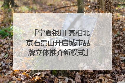 宁夏银川 亮相北京石景山开启城市品牌立体推介新模式