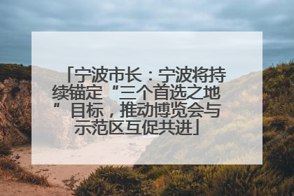 宁波市长：宁波将持续锚定“三个首选之地”目标，推动博览会与示范区互促共进