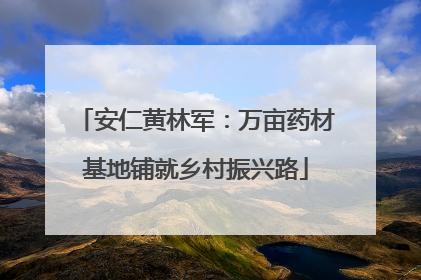 安仁黄林军：万亩药材基地铺就乡村振兴路