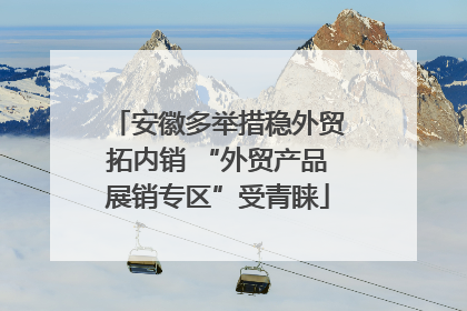 安徽多举措稳外贸拓内销 “外贸产品展销专区”受青睐